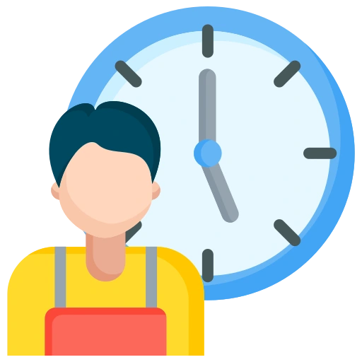 Full time Developer