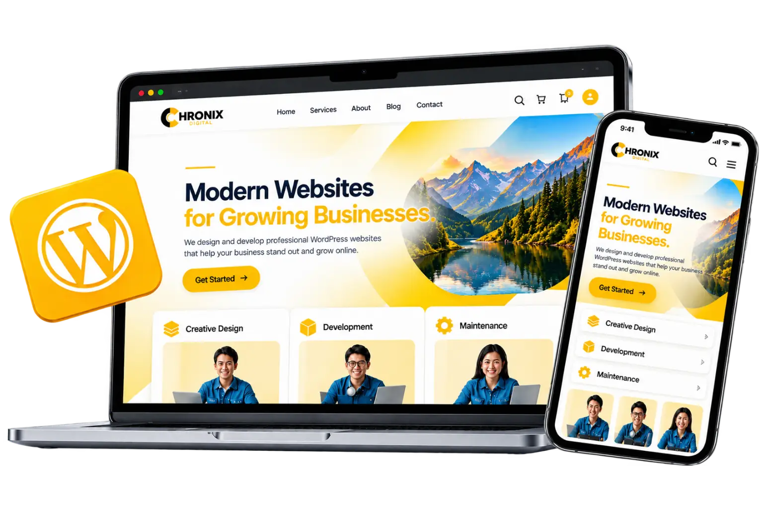 professional wordpress developer