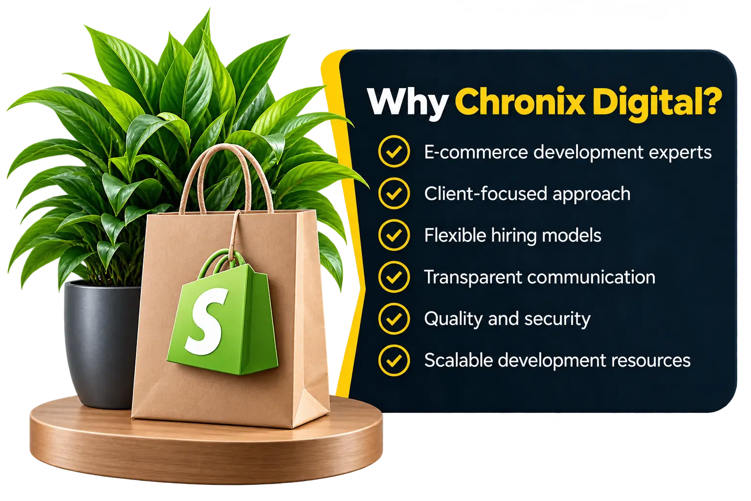Shopify developer